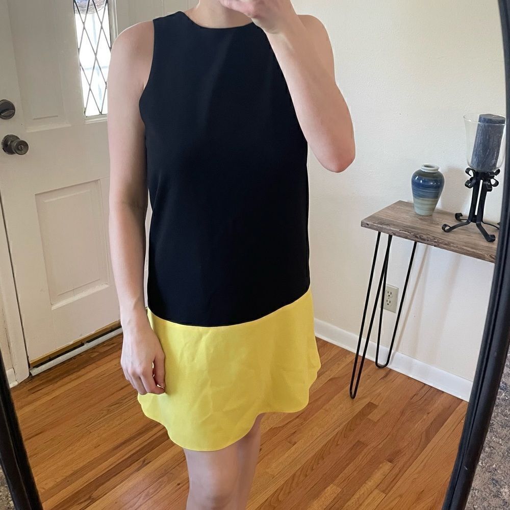 Alice + Olivia Dorma Color Block Sleeveless Shift Dress